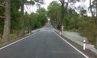 Kraj opraví další rozbité silnice a nechá vysadit novou alej ve Zdislavě